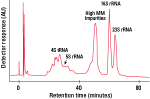 | https://separations.us.tosohbioscience.com